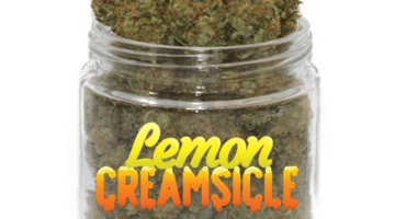 Buy Lemon Creamsicle Online
