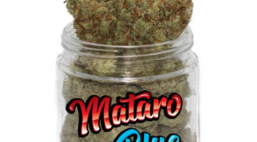 Buy Mataro Blue Online