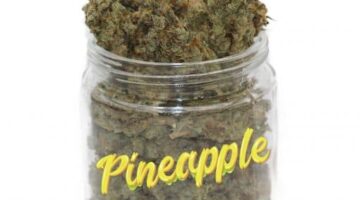 Buy Pineapple Kush Online
