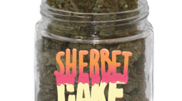 Buy Sherbet Cake Online, Where to Buy Sherbet Cake Online, Buy Sherbet Cake, Sherbet Cake Online