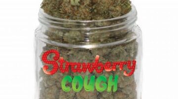 Buy Strawberry Cough Kush Online